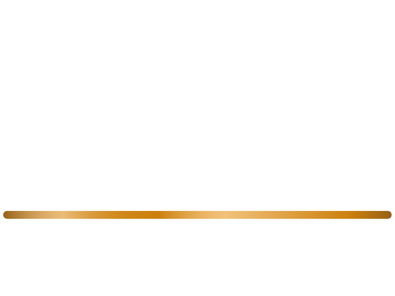 NSN NGCOBO SN INC.